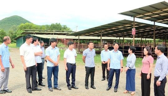 Đoàn giám sát chuyên đề Quốc hội: Kiểm tra thực tế việc sử dụng đất các dự án ở Ninh Bình