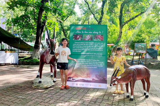 Thừa Thiên – Huế: Nâng cao nhận thức bảo tồn loài Sao la quý hiếm