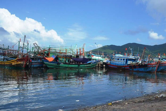 Đà Nẵng: Kiến nghị Bộ TN&MT sớm ban hành thông tư về quản lý môi trường đối với cảng cá, khu neo đậu 