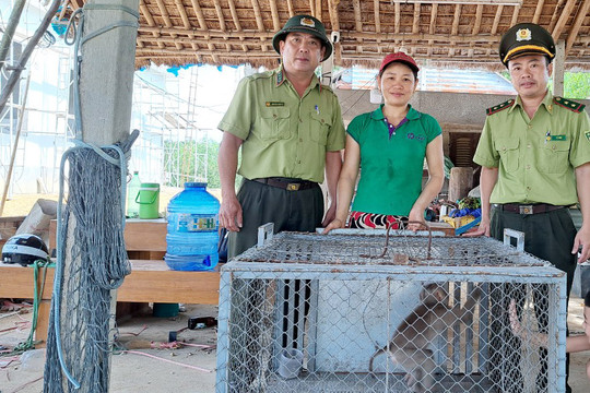 Thừa Thiên – Huế: Người dân tự nguyện giao nộp cá thể khỉ quý hiếm