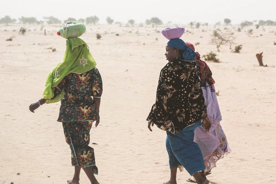Biến đổi khí hậu ở châu Phi có thể gây bất ổn cho các quốc gia và toàn khu vực