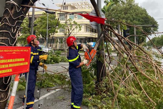 Thừa Thiên – Huế: Hàng trăm cây xanh ngã đổ, bật gốc sau bão Noru