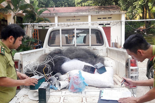 Bát Xát – Lào Cai: Lực lượng kiểm lâm thu giữ nhiều vật dụng bắt chim hoang dã
