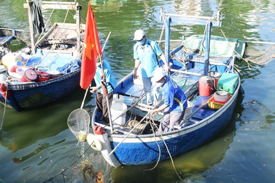 Đà Nẵng: Thúc đẩy giảm thiểu rác thải nhựa trên biển