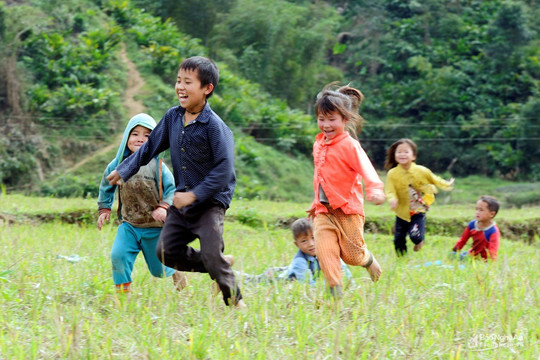 Thúc đẩy hợp tác phát triển trẻ em vùng dân tộc thiểu số và miền núi