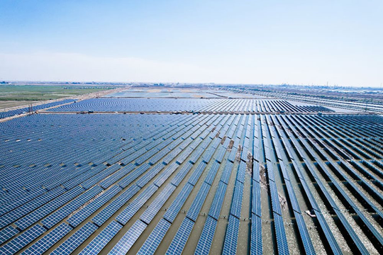 Trina Solar mong muốn được hợp tác để đóng góp cho mục tiêu trung hòa Carbon