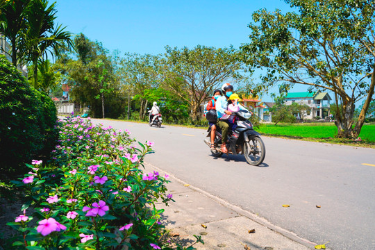 Hương Thủy (Thừa Thiên – Huế): Phụ nữ chung tay bảo vệ môi trường xanh, sạch