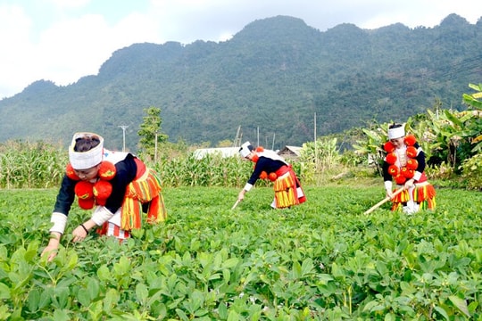 Bộ TN&MT đề xuất xây dựng một chính sách về hỗ trợ đất ở, đất sản xuất cho đồng bào DTTS