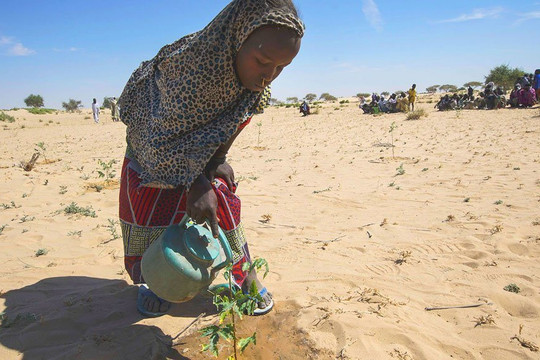 Phần lớn các khu vực trên thế giới khô hạn hơn mức bình thường