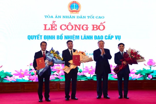 Bổ nhiệm ông Trần Đức Vinh giữ chức Tổng Biên tập Báo Công lý và hai lãnh đạo cấp Vụ TANDTC