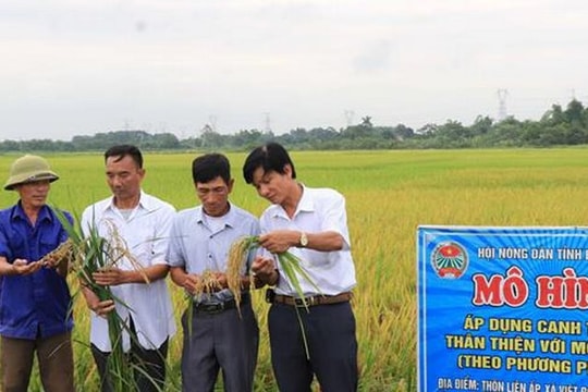 Bắc Ninh: Tập huấn, vận động người dân canh tác lúa thân thiện môi trường