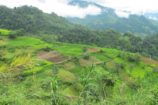 Mường Nhé (Điện Biên): Khắc phục khó khăn trong giao đất, giao rừng