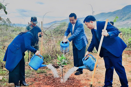 Sơn La: Các địa phương đồng loạt ra quân hưởng ứng Tết trồng cây 2023