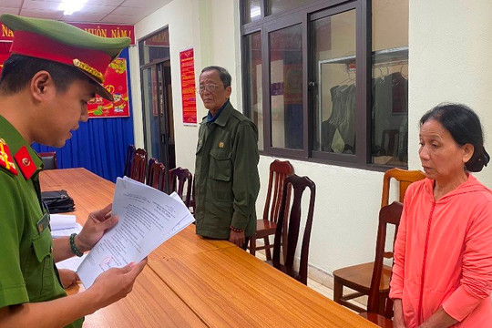 Đà Nẵng: Khởi tố, tạm giam lãnh đạo phường, Chủ doanh nghiệp vụ “thuê đất Nhà nước rồi phân lô bán nền”