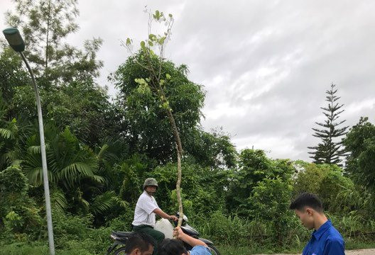 Huyện Đoàn Điện Biên Đông phát động phong trào trồng cây xanh