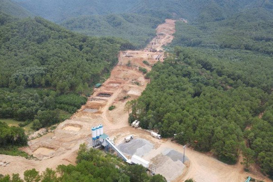 Quảng Bình chuyển mục đích hơn 250 ha rừng làm cao tốc Bắc - Nam