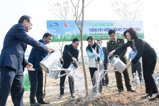 Phó Thủ tướng Trần Hồng Hà dự lễ khởi động Dự án trồng cây hướng tới Net Zero