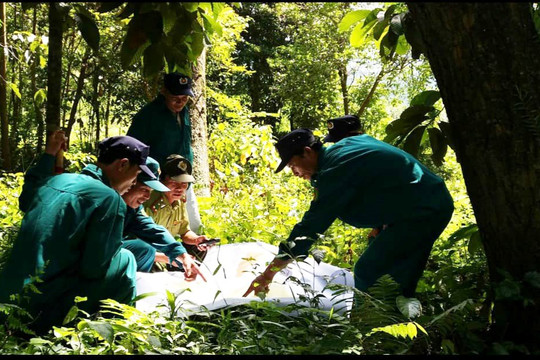 Thừa Thiên – Huế công bố hiện trạng rừng năm 2022