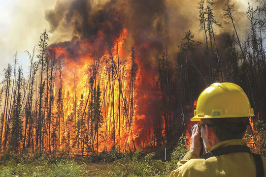 Lượng khí thải từ các vụ cháy rừng ở các vĩ độ cao phía Bắc: Gia tăng với tốc độ đáng báo động