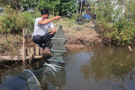 Bạc Liêu: Chú trọng phát triển rừng gắn với giảm nghèo bền vững