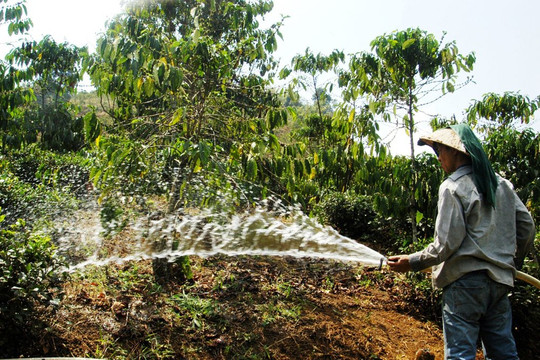 Tây Nguyên: Chuẩn bị nước sạch trong mùa khô