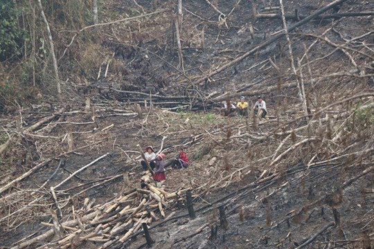 Điện Biên ban hành công điện tạm dừng đốt thực bì