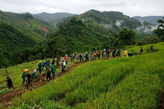 Quảng Ngãi: Làm ruộng trên đồi, giảm phá rừng làm rẫy