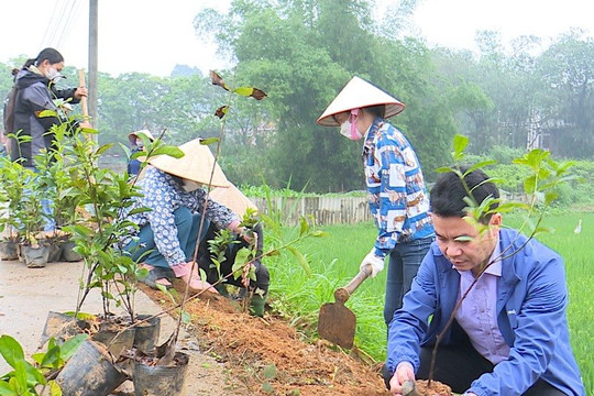 Phù Ninh - Phú Thọ: Ra quân trồng cây mừng xã đạt chuẩn nông thôn mới