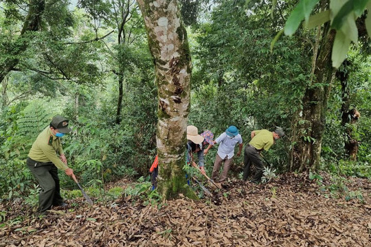 Mô hình sinh kế ứng dụng công nghệ quản trị rừng: Giảm nghèo bền vững
