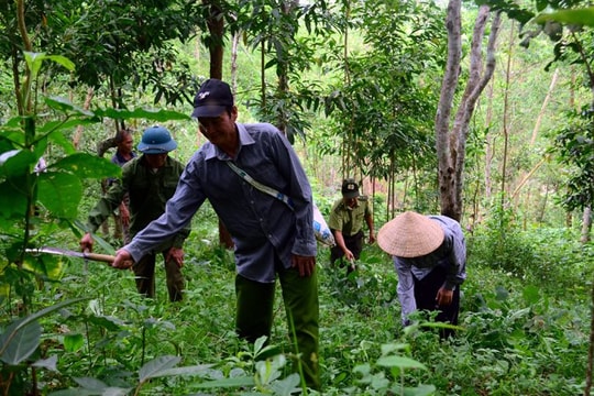 Mường Nhé chủ động công tác phòng cháy chữa cháy rừng