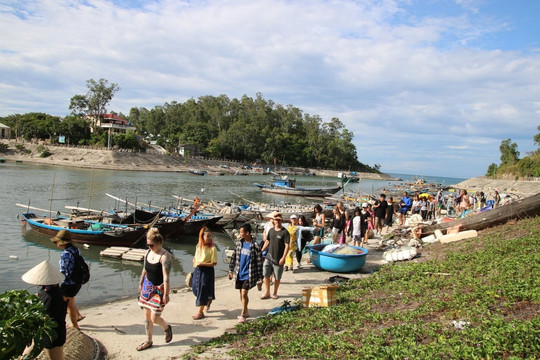 Hiệu quả từ mô hình đồng quản lý bảo tồn biển tại Cù Lao Chàm