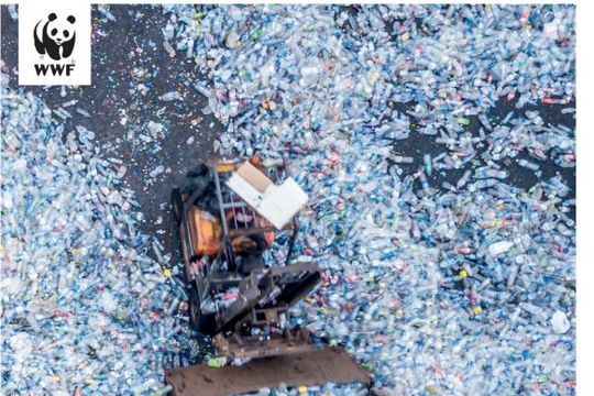 WWF kêu gọi lệnh cấm toàn cầu với một số sản phẩm nhựa dùng 1 lần