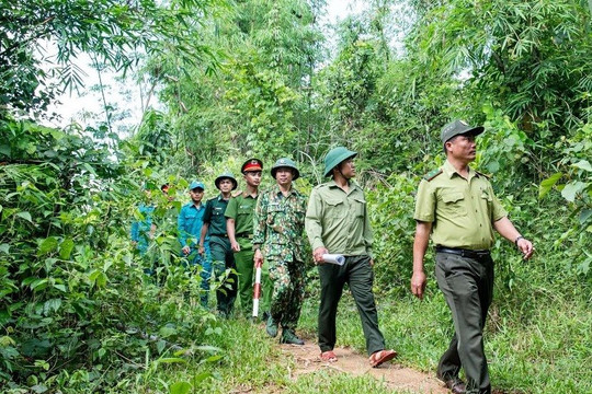 Kon Tum: Tăng nguồn thu để bảo vệ rừng