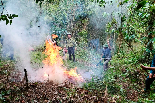Bảo vệ rừng đầu nguồn ở Thanh Hóa: Đồng bào hưởng lợi