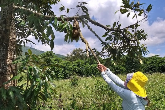 Đói nghèo đã dần lùi vào quá khứ