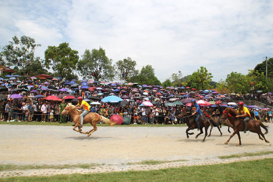 Mãn nhãn với màn đua ngựa tại Festival cao nguyên trắng Bắc Hà