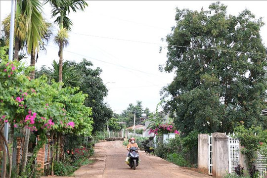 Vụ tấn công tại Đắk Lắk: Tạm giữ hình sự 74 đối tượng, ổn định an ninh trật tự trên địa bàn