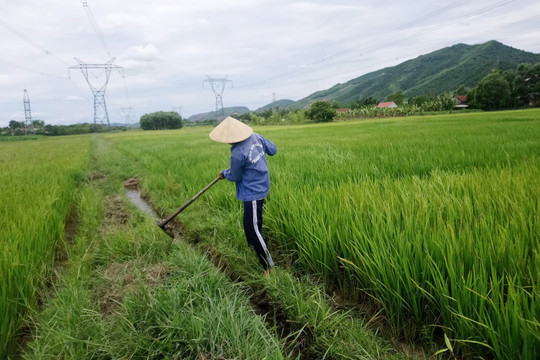 Thừa Thiên – Huế: Bảo vệ, phát huy nguồn nước giúp người dân phát triển kinh tế