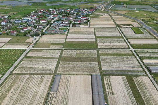 Hà Tĩnh: Tích tụ ruộng đất hướng đến giảm nghèo bền vững