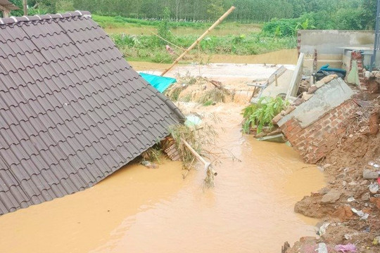 Mưa lũ gây thiệt hại 49,5 ha lúa tại Gia Lai và Kon Tum