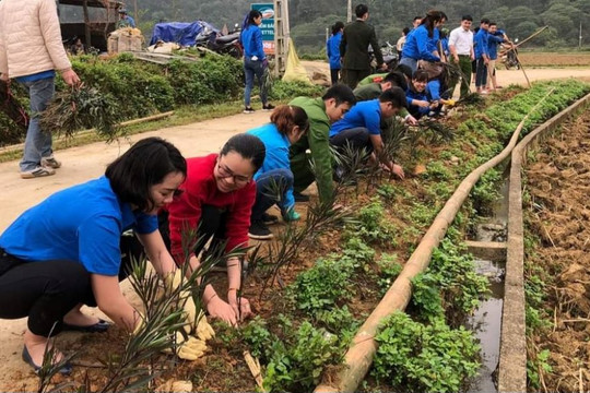 Lạng Sơn: Tuổi trẻ Bình Gia đồng hành cùng thanh niên lập nghiệp