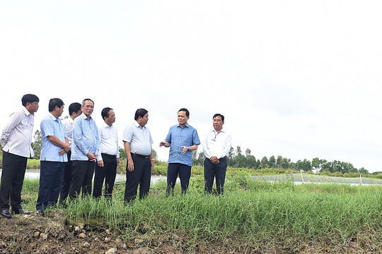 Phó Thủ tướng Trần Lưu Quang khảo sát 3 chương trình MTQG tại Bạc Liêu