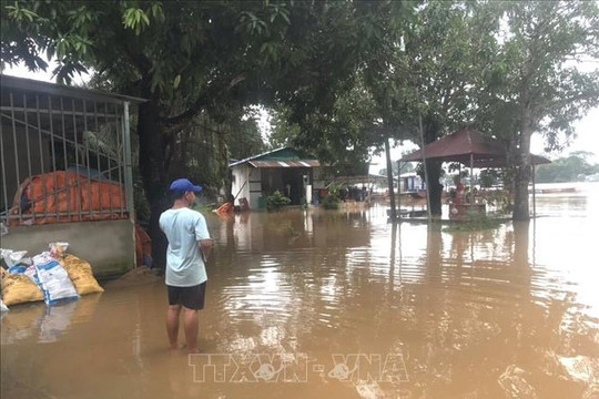 Chủ động ứng phó với lũ khẩn cấp trên các sông ở Đồng Nai