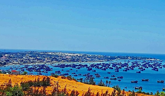 Bí thư Tỉnh uỷ Bình Thuận: Không có chuyện đồng ý xây dựng cảng cá ở vịnh Mũi Né