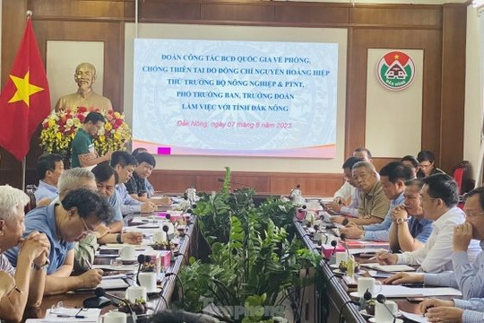 Vấn đề sạt lở tại Đắk Nông: Chuyên gia PCTT “hiến kế” tìm giải pháp
