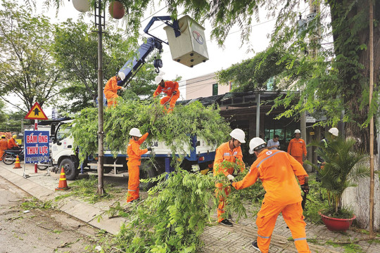EVNSPC: Nỗ lực đảm bảo an toàn điện mùa mưa bão