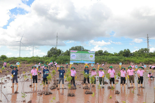 Khởi động Dự án trồng cây bảo vệ đa dạng sinh học tại trang trại nuôi tôm C.P Việt Nam