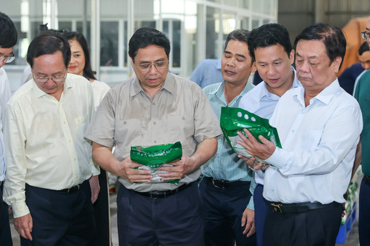 Thủ tướng thăm một số cơ sở sản xuất, chế biến lúa gạo hiện đại, công nghệ cao
