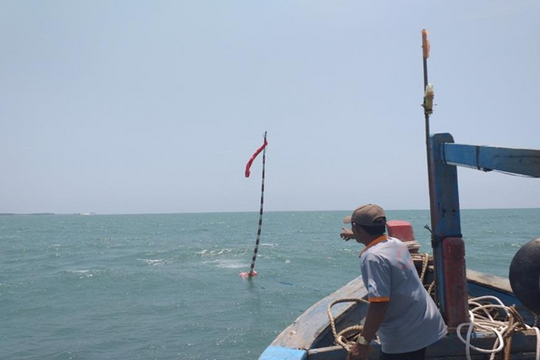 Bình Thuận: Huy động cộng đồng cùng tái tạo nguồn lợi thủy sản