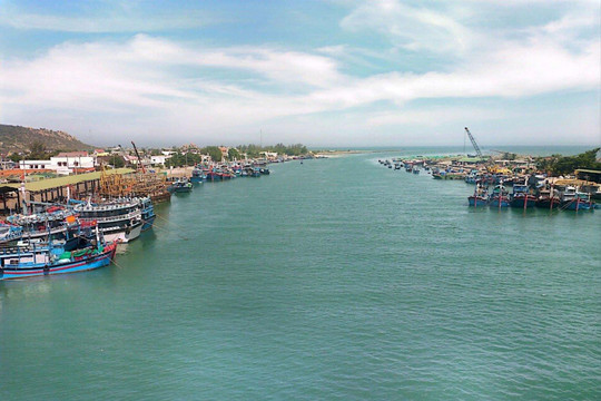 Ninh Thuận: Mục tiêu phát triển khai thác thủy sản hiệu quả, bền vững
